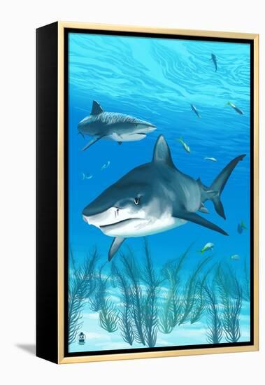 Tiger Shark-Lantern Press-Framed Stretched Canvas