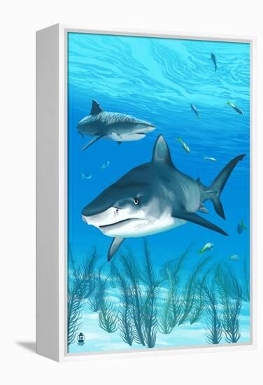 Tiger Shark-Lantern Press-Framed Stretched Canvas