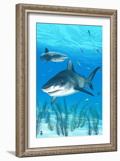 Tiger Shark-Lantern Press-Framed Premium Giclee Print