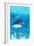 Tiger Shark-Lantern Press-Framed Premium Giclee Print