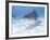 Tiger Sharks, Northern Bahamas-Stuart Westmoreland-Framed Photographic Print