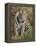 Tiger Sittingportrait, Bandhavgarh National Park, India 2007-Tony Heald-Framed Premier Image Canvas