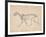 Tiger Skeleton, Lateral View-George Stubbs-Framed Premium Giclee Print