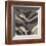 Tiger Skin-Susan Clickner-Framed Giclee Print