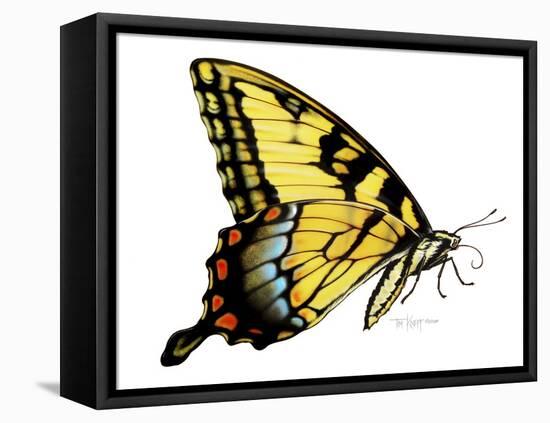 Tiger Swallowtail Butterfly-Tim Knepp-Framed Premier Image Canvas