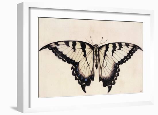 Tiger Swallowtail Butterfly-John White-Framed Art Print