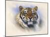 Tiger, Tiger, Burning Bright-Stuart Coffield-Mounted Giclee Print