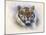 Tiger, Tiger, Burning Bright-Stuart Coffield-Mounted Giclee Print