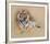 Tiger-Gary Stinton-Framed Collectable Print