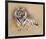 Tiger-Gary Stinton-Framed Collectable Print