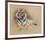 Tiger-Gary Stinton-Framed Collectable Print