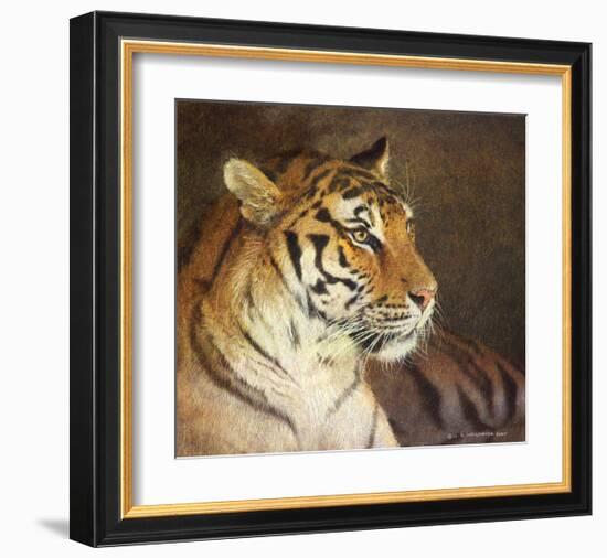 Tiger-Chris Vest-Framed Art Print