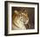 Tiger-Chris Vest-Framed Art Print