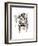 Tiger-Philippe Debongnie-Framed Art Print