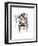 Tiger-Philippe Debongnie-Framed Art Print