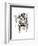 Tiger-Philippe Debongnie-Framed Art Print