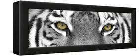 Tiger-PhotoINC-Framed Premier Image Canvas