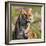 Tiger-null-Framed Photographic Print