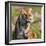 Tiger-null-Framed Photographic Print