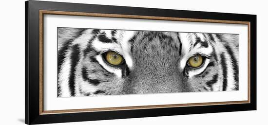 Tiger-PhotoINC-Framed Photographic Print