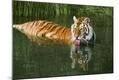 Photographic Print