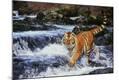 Photographic Print