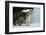 Tiger-null-Framed Photographic Print