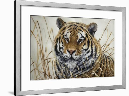 Tiger-Jeff Tift-Framed Giclee Print