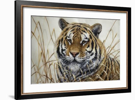 Tiger-Jeff Tift-Framed Giclee Print