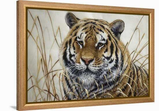 Tiger-Jeff Tift-Framed Premier Image Canvas