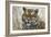 Tiger-Jeff Tift-Framed Giclee Print