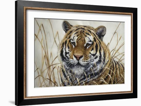 Tiger-Jeff Tift-Framed Giclee Print