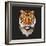 Tiger-Lora Kroll-Framed Art Print