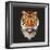 Tiger-Lora Kroll-Framed Art Print