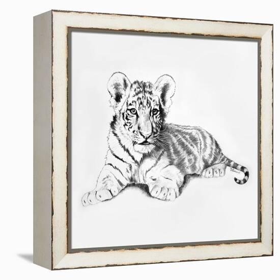 Tiger-Vivien Rhyan-Framed Stretched Canvas