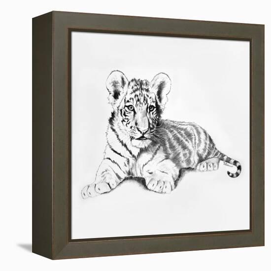 Tiger-Vivien Rhyan-Framed Stretched Canvas