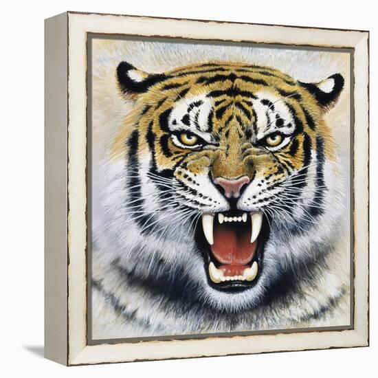 Tiger-Harro Maass-Framed Premier Image Canvas