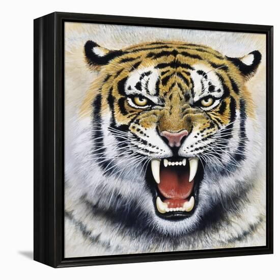 Tiger-Harro Maass-Framed Premier Image Canvas