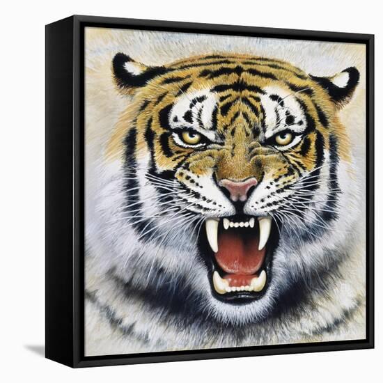 Tiger-Harro Maass-Framed Premier Image Canvas