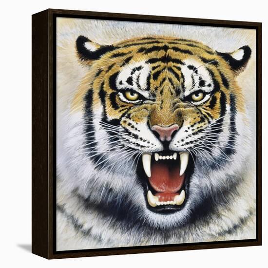 Tiger-Harro Maass-Framed Premier Image Canvas