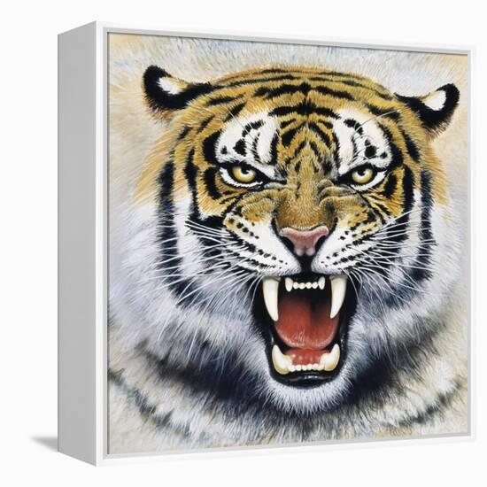 Tiger-Harro Maass-Framed Premier Image Canvas