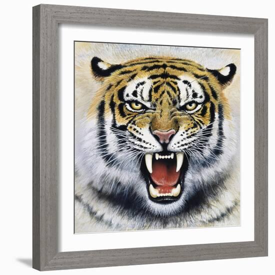 Tiger-Harro Maass-Framed Giclee Print