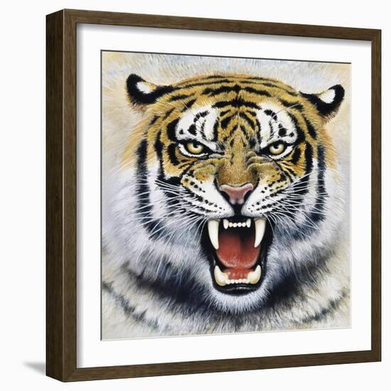 Tiger-Harro Maass-Framed Giclee Print