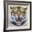 Tiger-Harro Maass-Framed Giclee Print