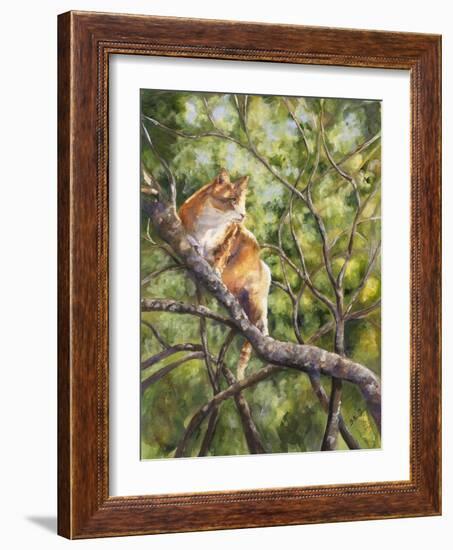 Tiger-Sarah Davis-Framed Giclee Print