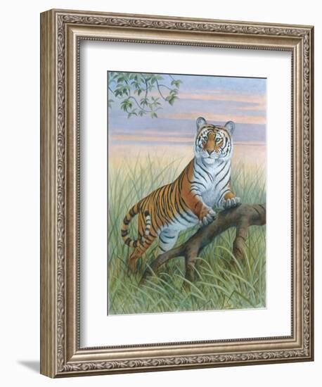 Tiger-Ron Jenkins-Framed Art Print