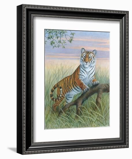 Tiger-Ron Jenkins-Framed Art Print