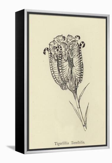 Tigerlillia Terribilis-Edward Lear-Framed Premier Image Canvas