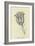 Tigerlillia Terribilis-Edward Lear-Framed Giclee Print