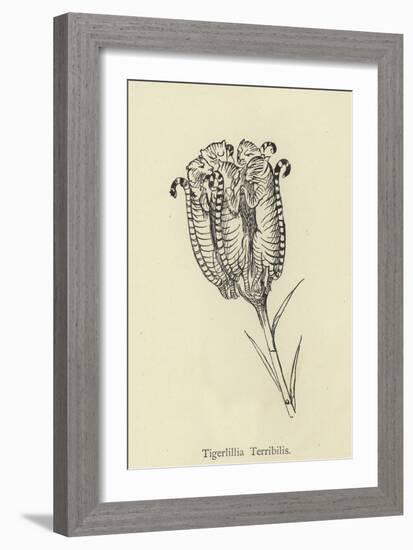 Tigerlillia Terribilis-Edward Lear-Framed Giclee Print